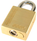PL-01.  ,  500X,    CyberLock CL-6P1WR,   25 